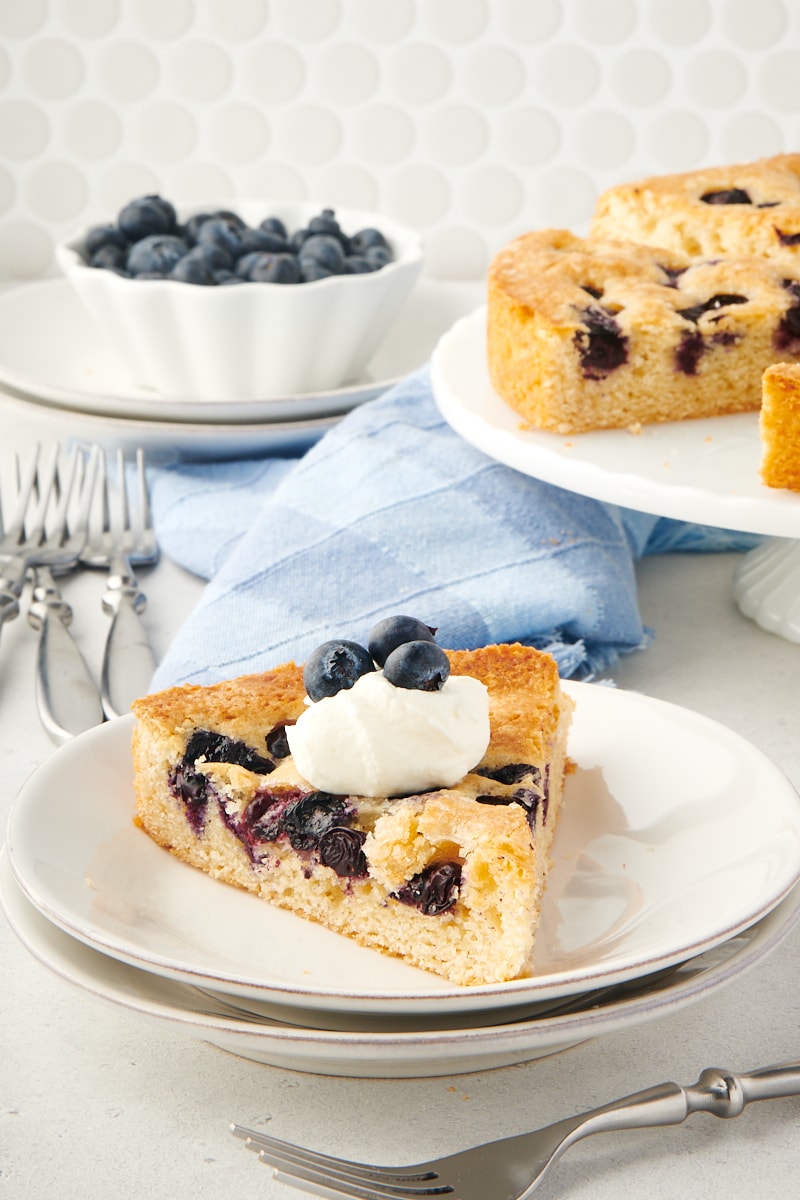 Slice of blueberry cake on plate with whipped cream and blueberries