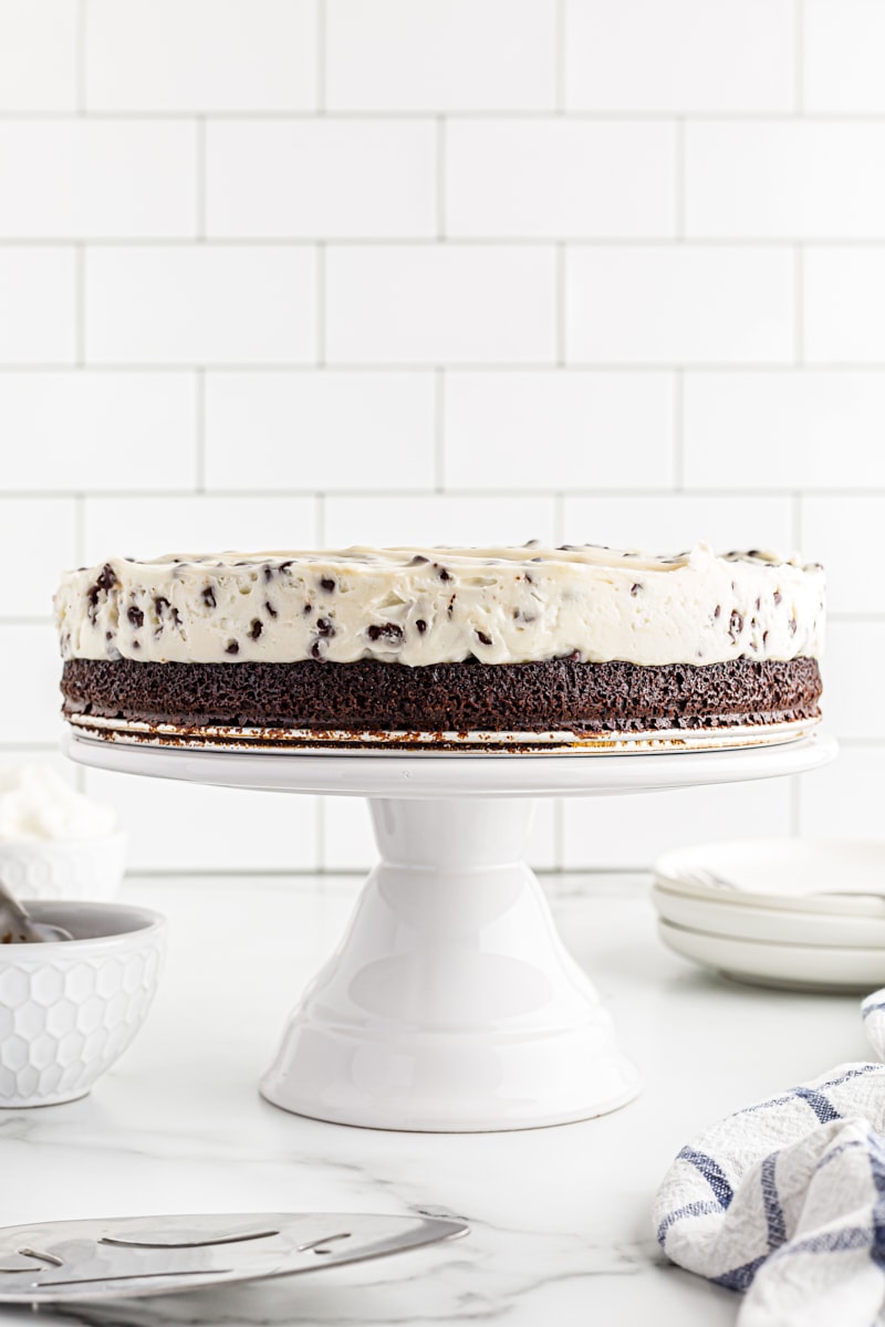 Whole Chocolate Chip Cheesecake with Brownie Crust on white cake stand