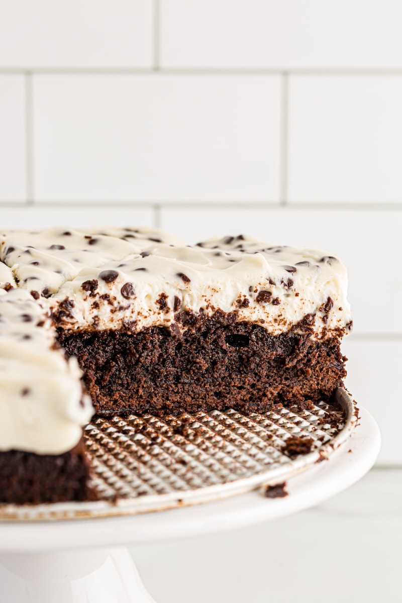 Side view of Chocolate Chip Cheesecake with Brownie Crust on cake stand