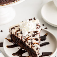 Chocolate Chip Cheesecake with Brownie Crust on plate with chocolate sauce
