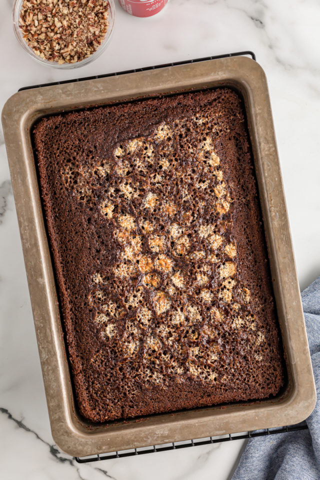 Southern CocaCola Cake Bake or Break