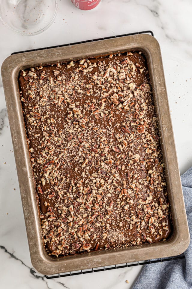 Overhead view of Coca-Cola Cake in pan