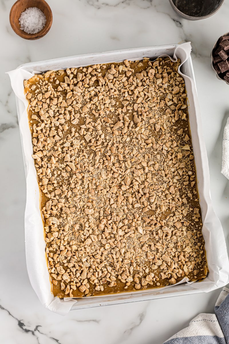 Overhead view of salty cashew caramel bars topped with cashews