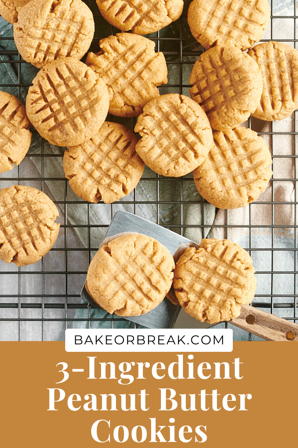 Easy 3-Ingredient Peanut Butter Cookies | Bake Or Break