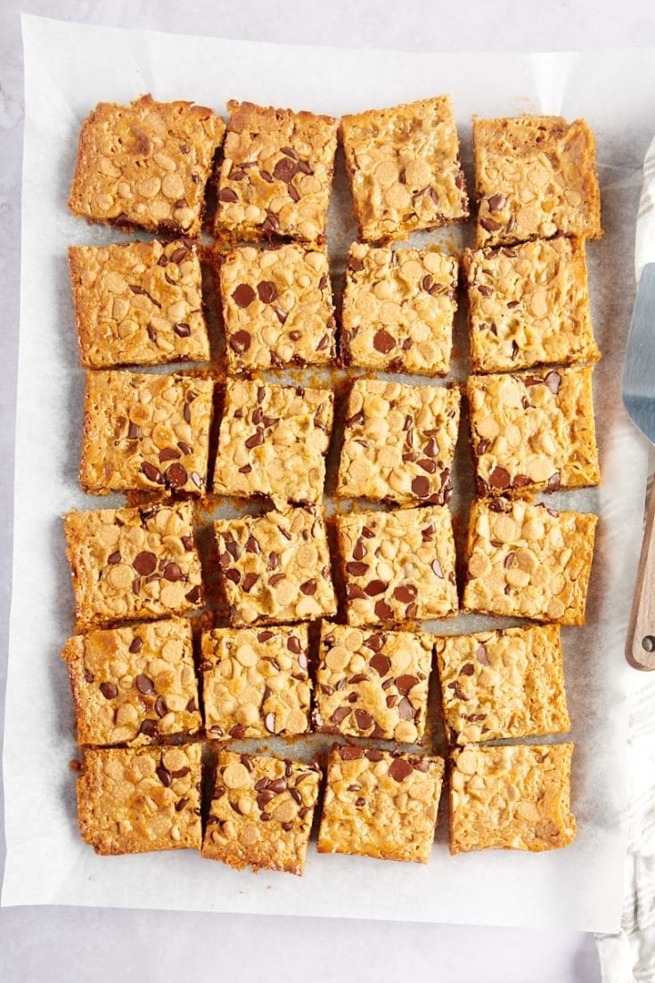 Overhead view of cut double delicious cookie bars