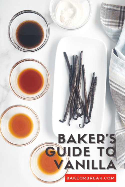 Types of Vanilla {A Home Baker's Guide}