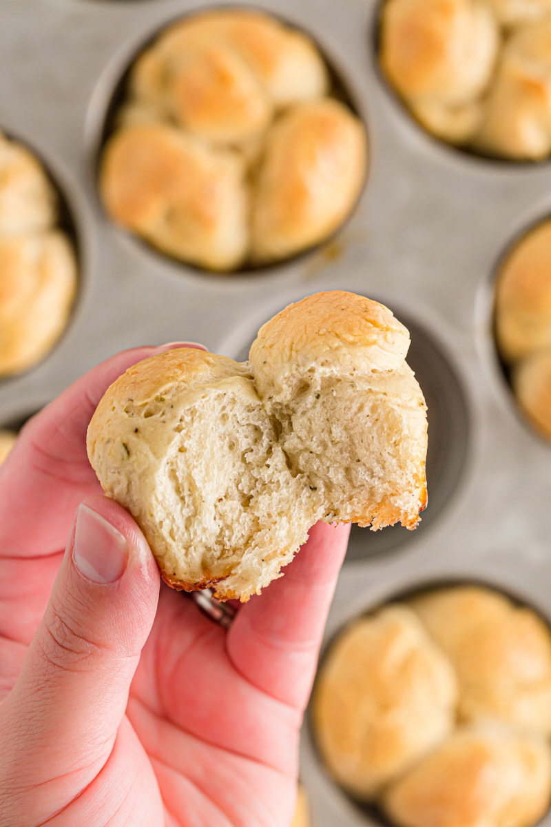 Someone holding a dinner roll toward the camera with one of the clover leaves pulled off to show the fluffy inside.