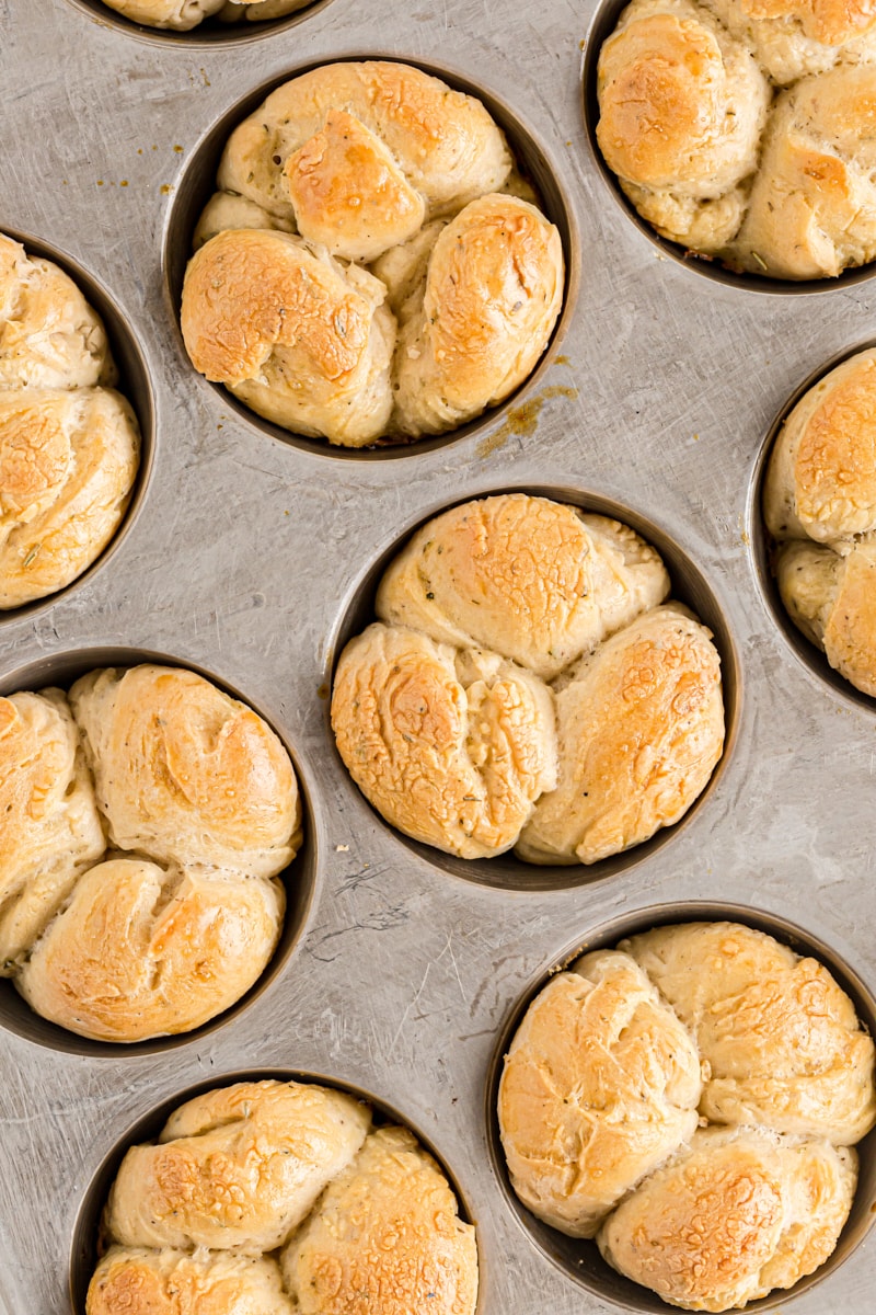 Herb Cloverleaf Rolls in a muffin tin fresh out of the oven.