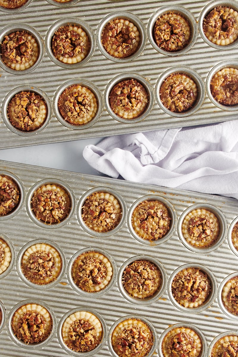 Two trays of golden-brown mini pecan pies.