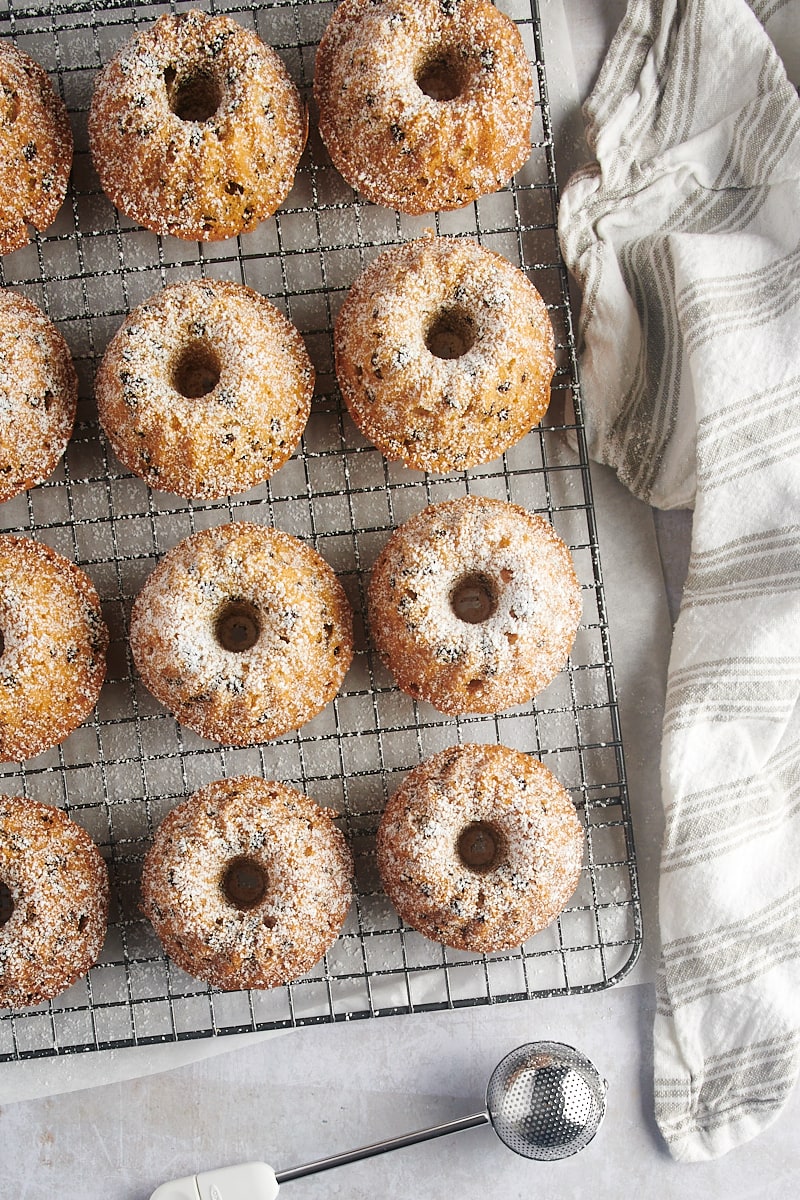 overhead view of Mini Chocolate Chip Bundt Cakes dusted with confectioners' sugar