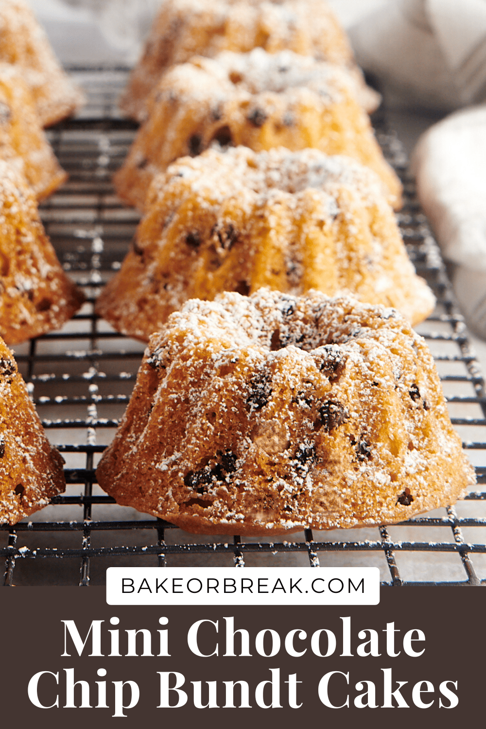 Mini Chocolate Chip Bundt Cakes Bake or Break