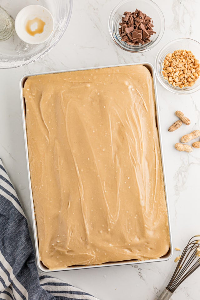 Iced peanut butter Texas sheet cake.