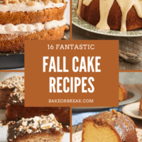 16 Fantastic Fall Cake Recipes bakeorbreak.com