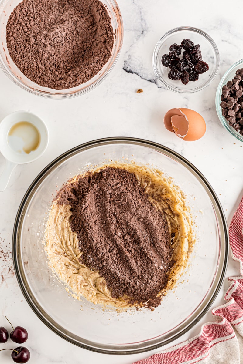 Cocoa powder added to creamed butter and sugar in a mixing bowl.