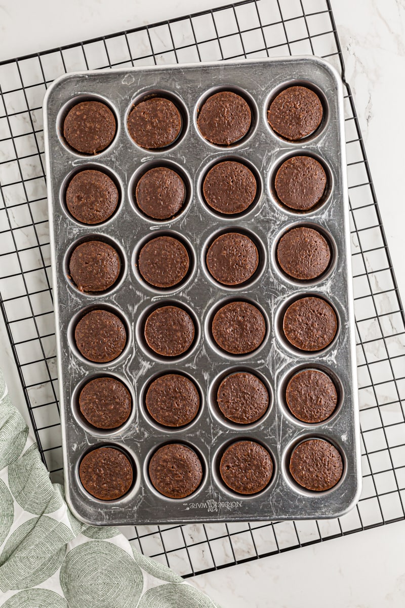 Overhead view of chocolate mousse mini cupcakes in pan