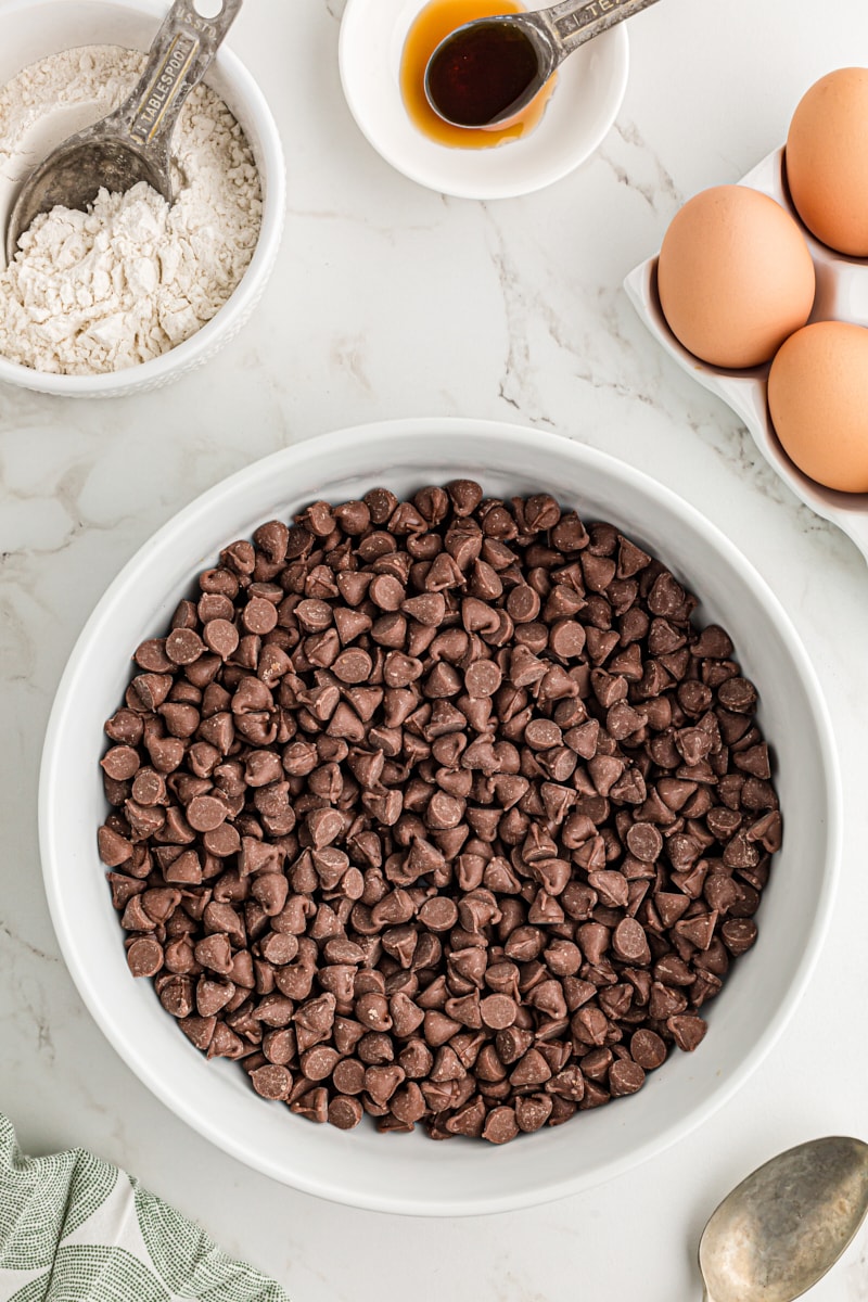 Chocolate chips in bowl