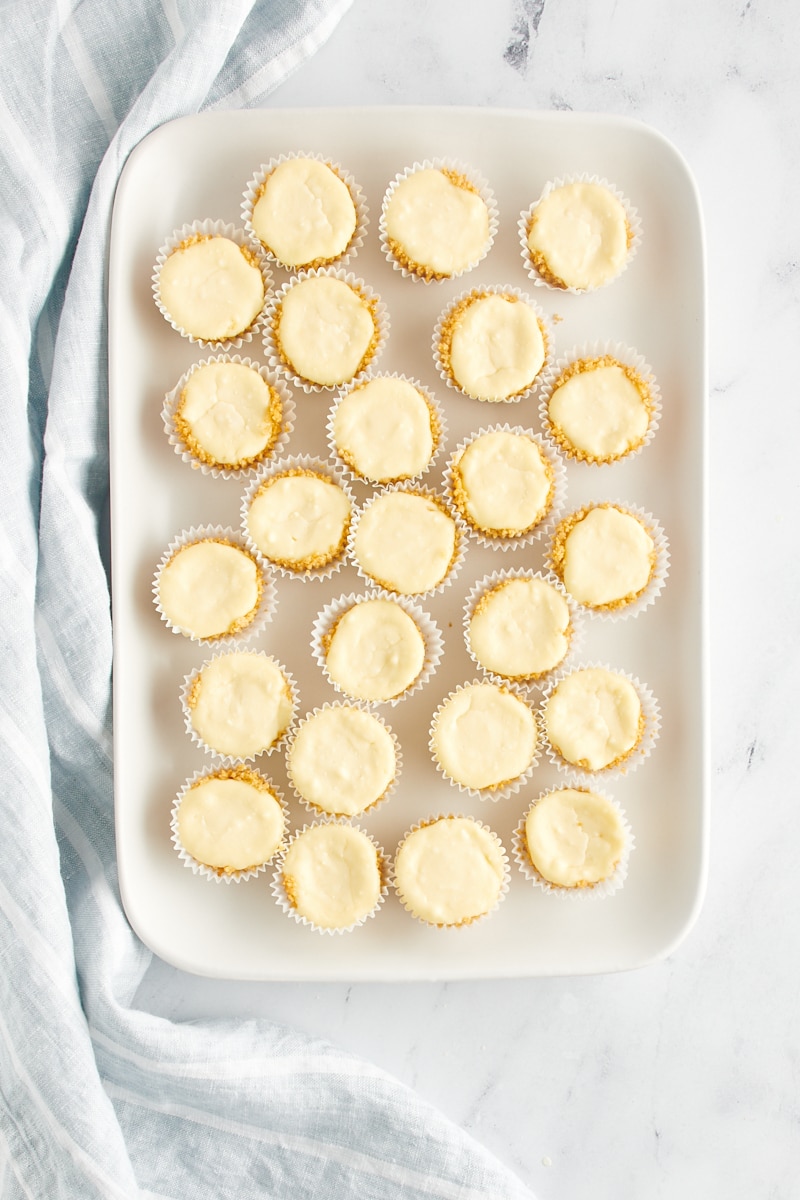 Overhead view of mini cheesecakes on a tray.