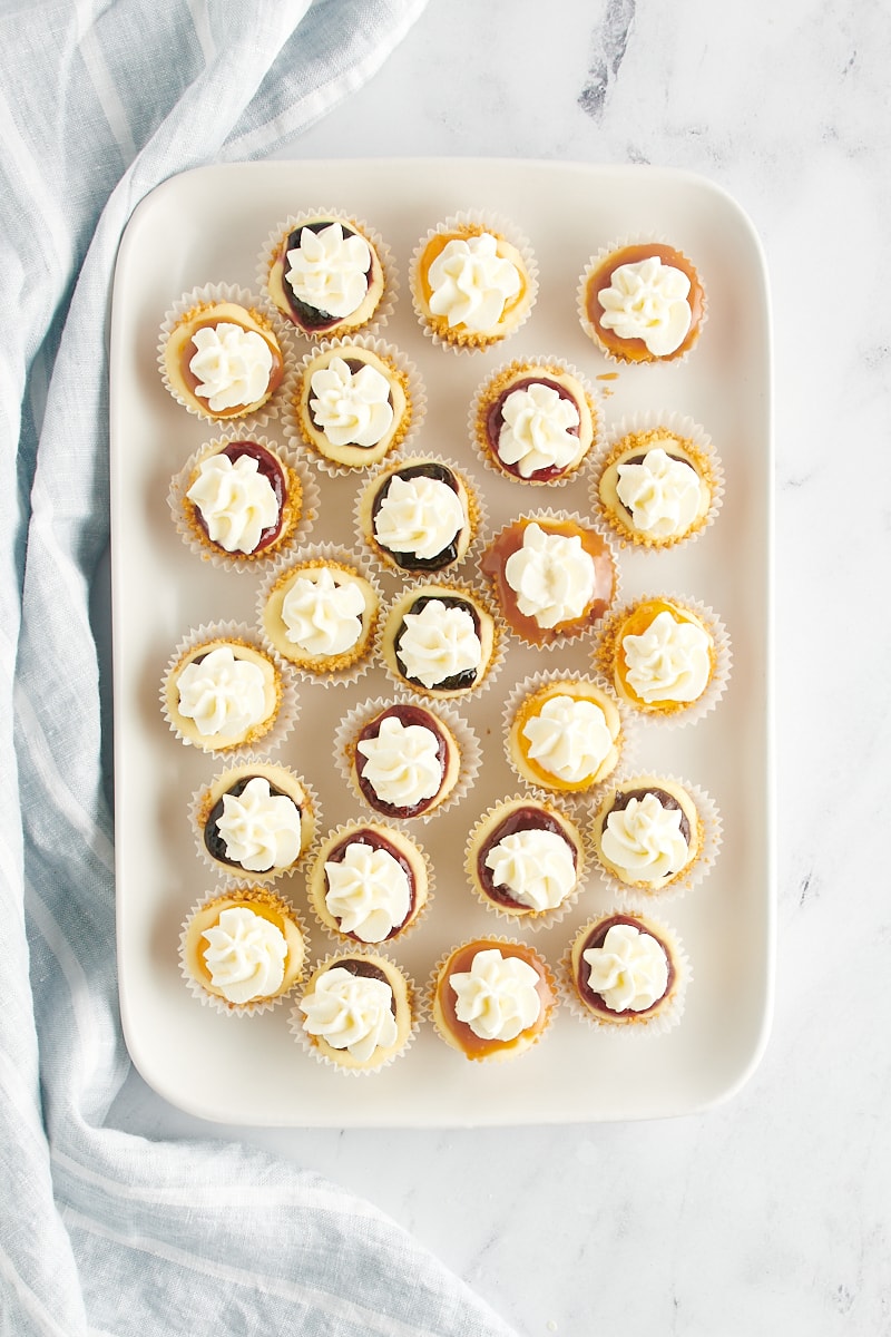 Overhead view of assorted mini cheesecakes on tray