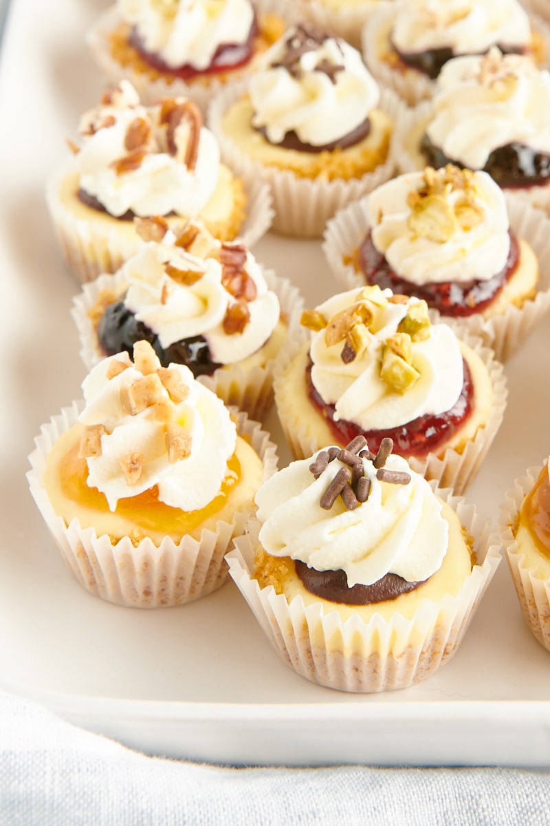 Mini cheesecakes on serving platter