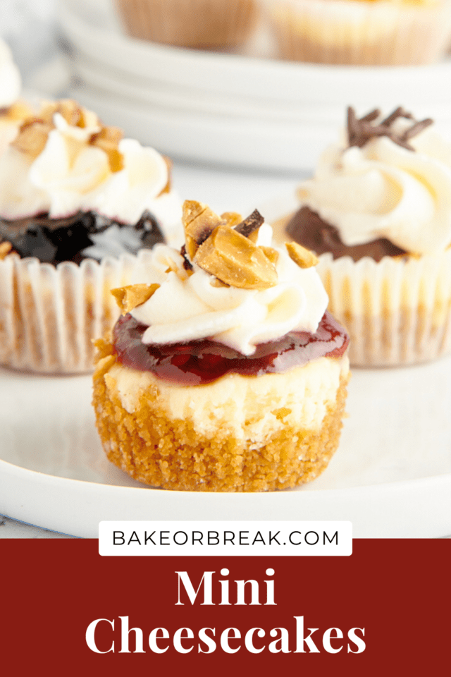 Mini Cheesecakes bakeorbreak.com