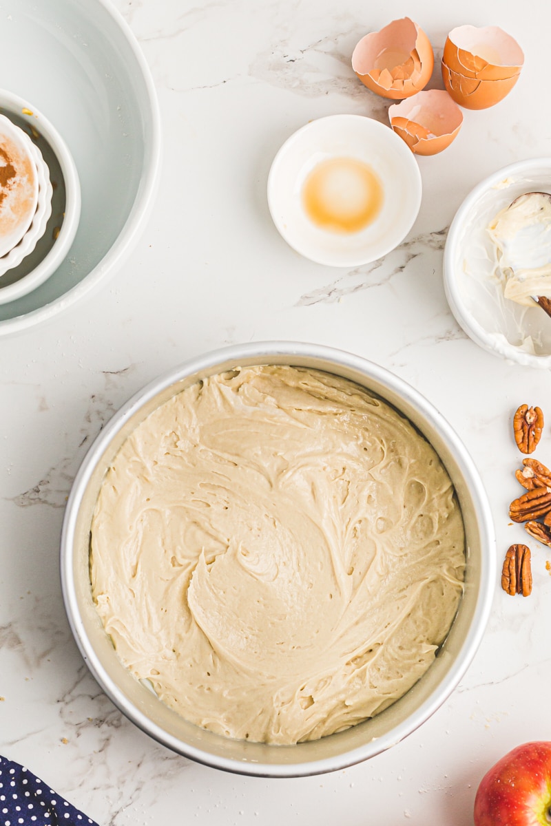 Overhead view of cake batter layer in pan