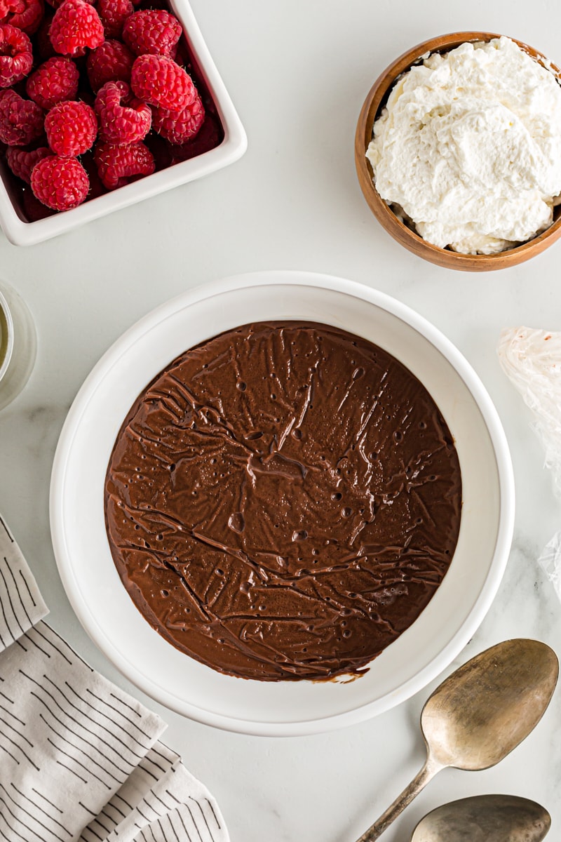 Double chocolate pudding in bowl after setting