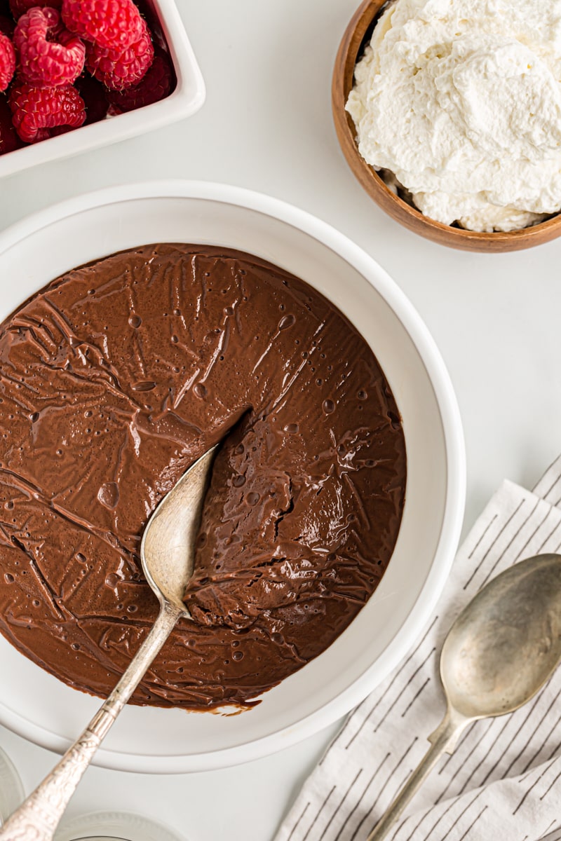 Double chocolate pudding in large bowl with spoon
