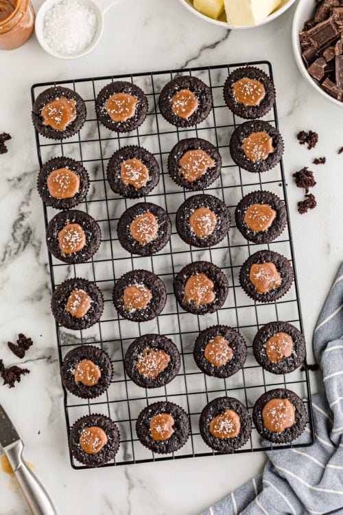 Rich Chocolate Salted Caramel Mini Cupcakes Bake or Break