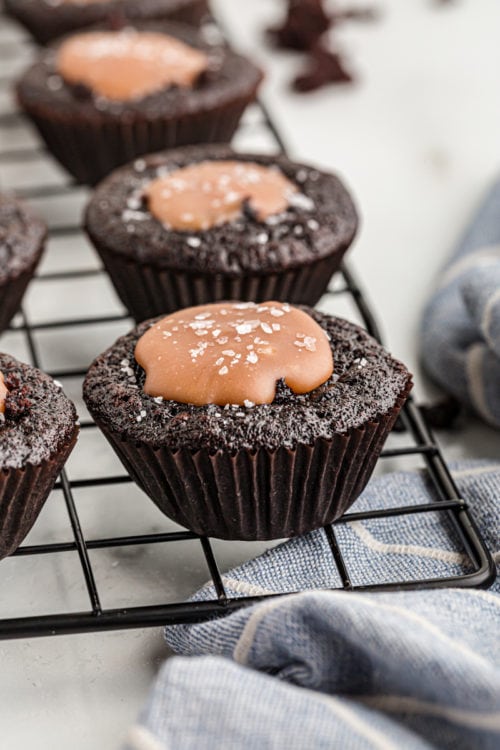 Rich Chocolate Salted Caramel Mini Cupcakes Bake or Break