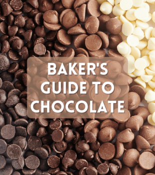 Baker's Guide to Chocolate bake or break