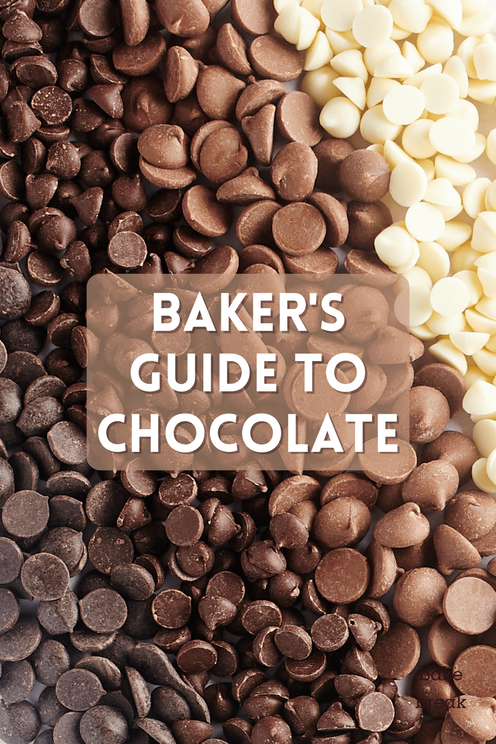 Baker's Guide to Chocolate bake or break