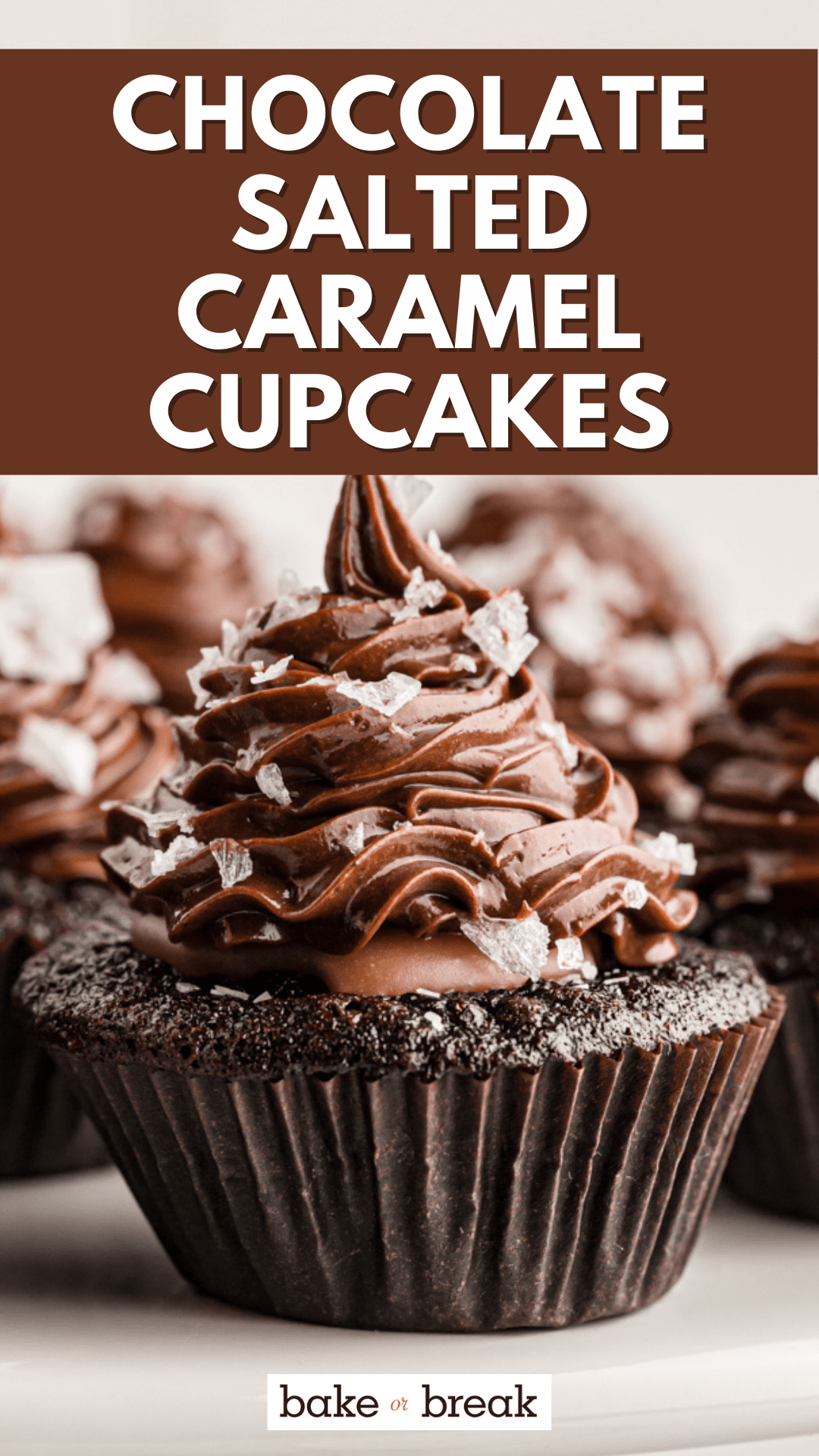 Rich Chocolate Salted Caramel Mini Cupcakes Bake or Break