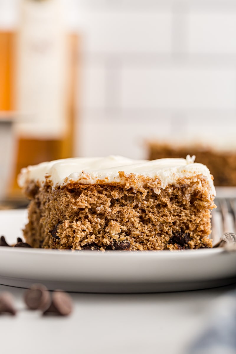 Side view of oatmeal chocolate chip cake on white plate