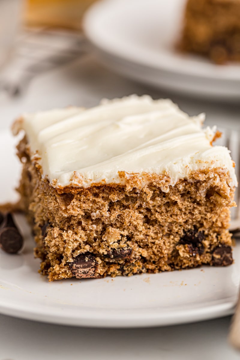 Square of oatmeal chocolate chip cake on white plate