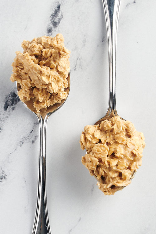 Rolled Oats vs Quick Oats Bake or Break