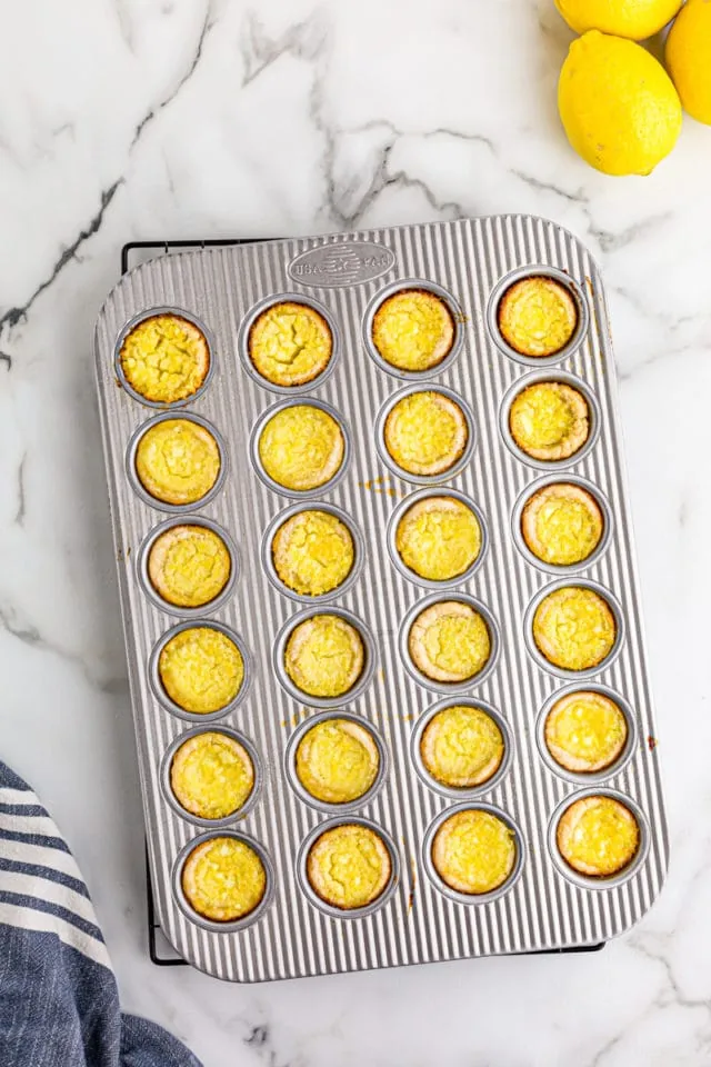 overhead view of freshly baked Lemon Chess Tartlets in a mini muffin pan