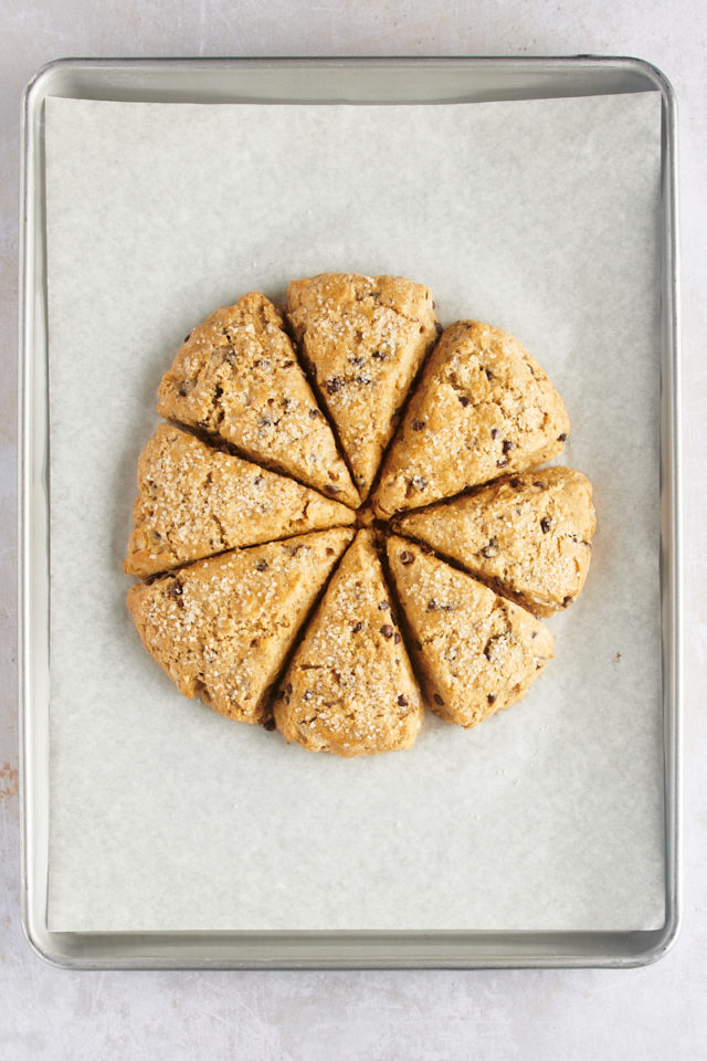 Overhead view of chocolate chip-hazelnut scones arranged in circle on parchment-lined baking sheet