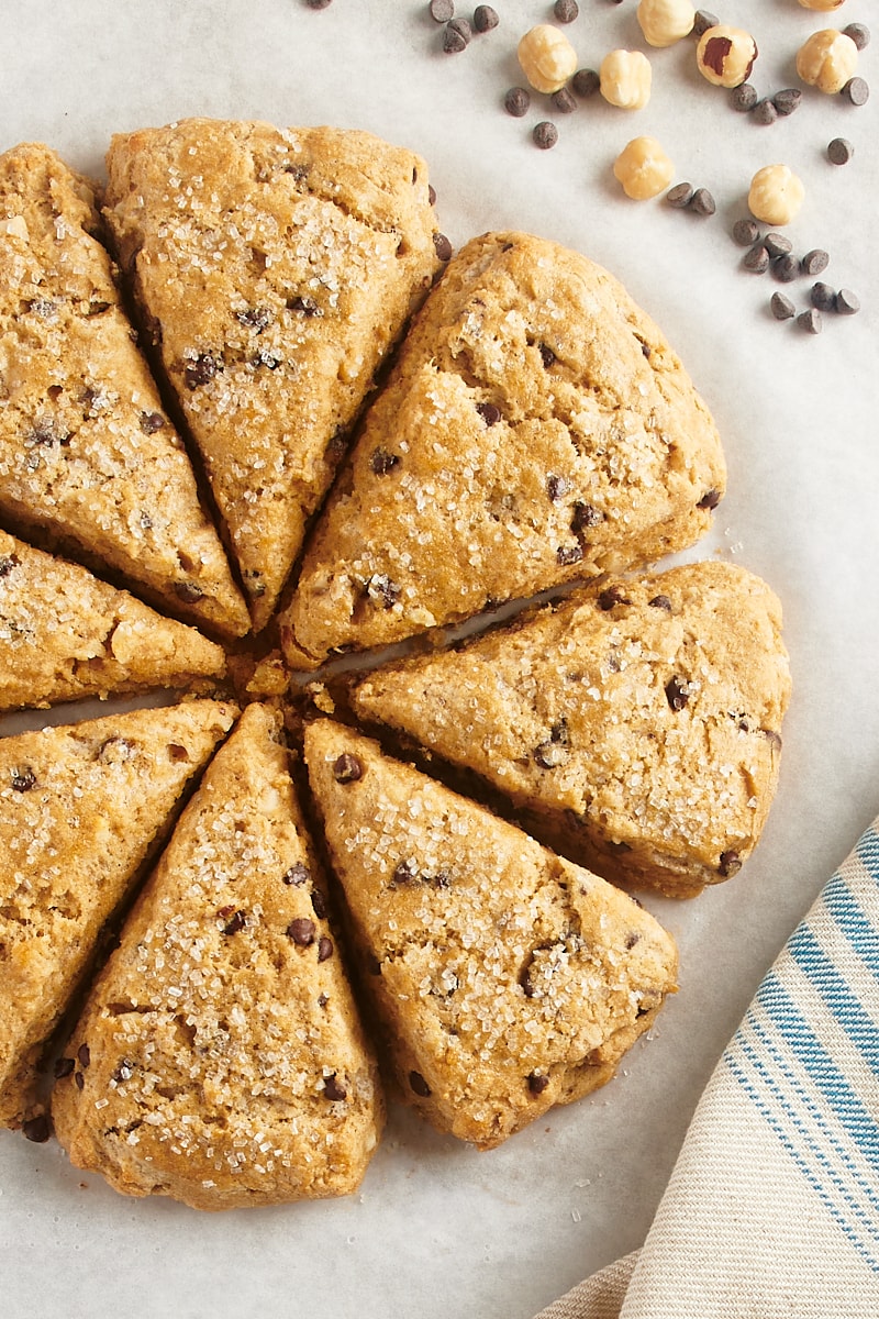 Overhead view of chocolate chip-hazelnut scones arranged in circle on parchment paper