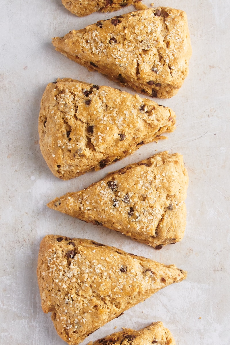 Chocolate chip-hazelnut scones arranged in single line on parchment paper