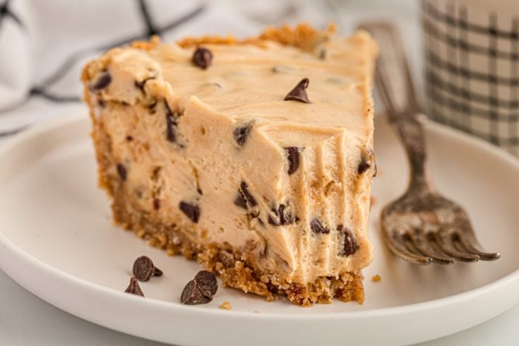 Closeup of peanut butter chocolate chip pie on plate with tip eaten