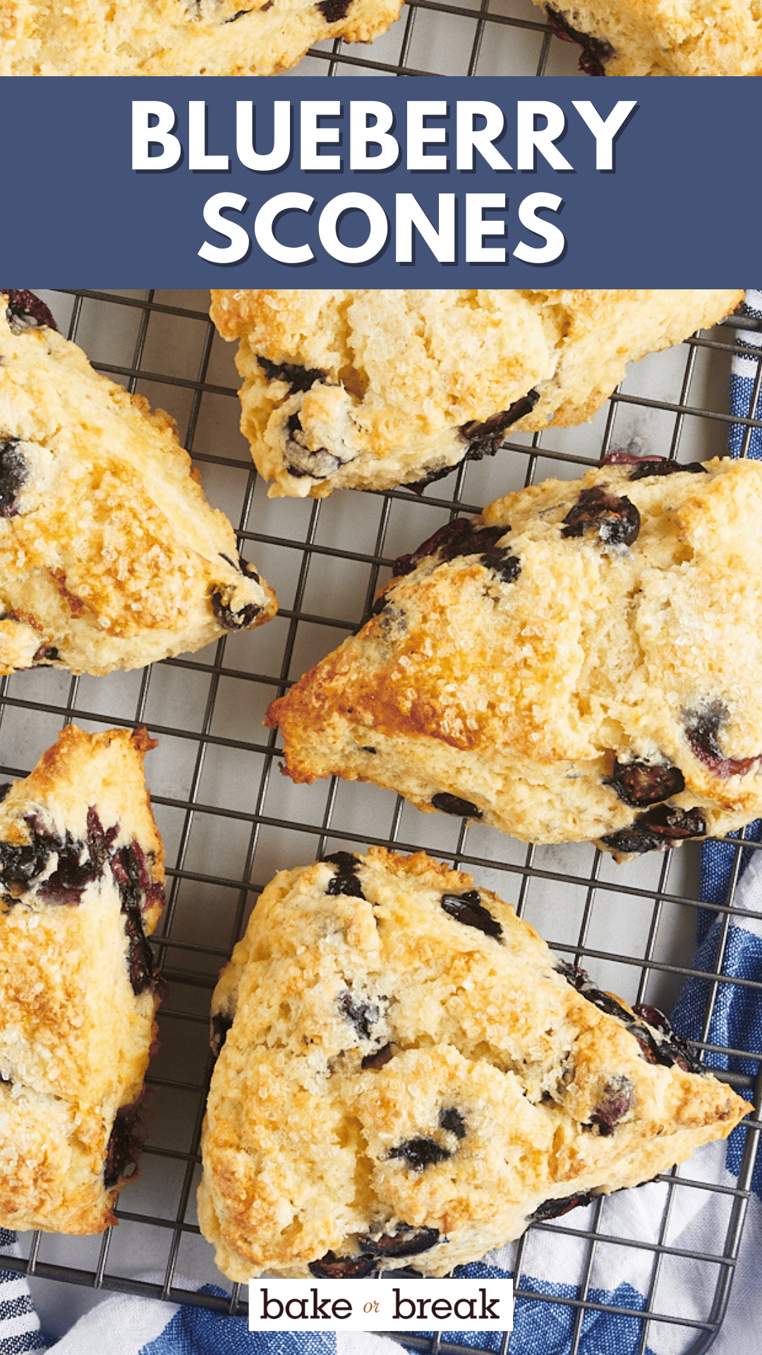 Blueberry Scones - Bake or Break