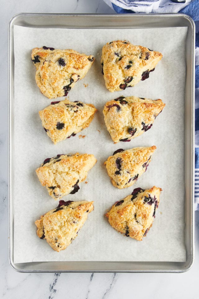 overhead view of freshly baked blueberry scones on a baking sheet
