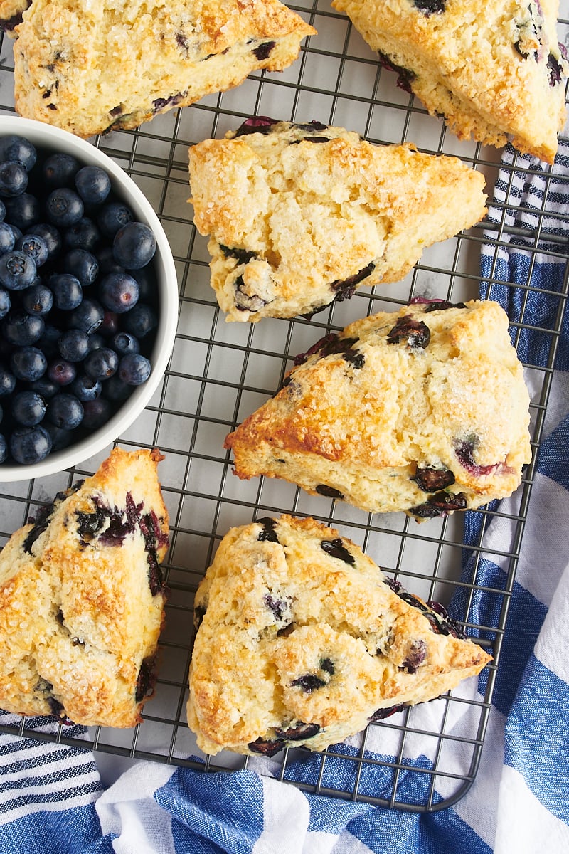 overhead view of blueberry scones and a bowl of blueberries on a wire cooling rack