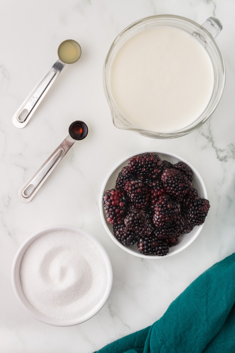 overhead view of ingredients for blackberry ice cream