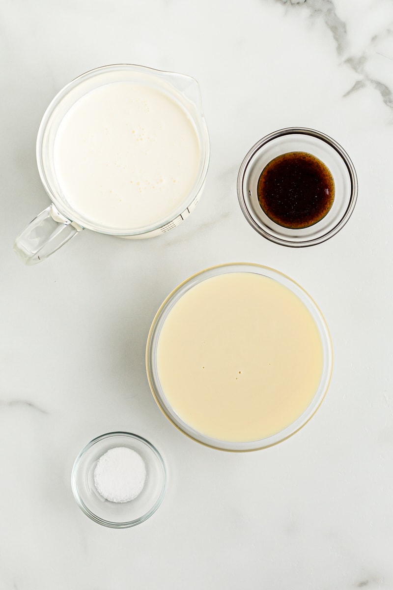 Overhead view of ingredients for no-churn vanilla ice cream