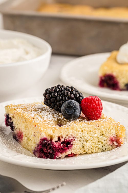 Moist Berry Pudding Cake | Bake or Break