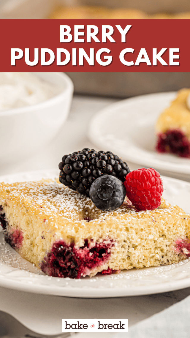 Berry Pudding Cake bake or break