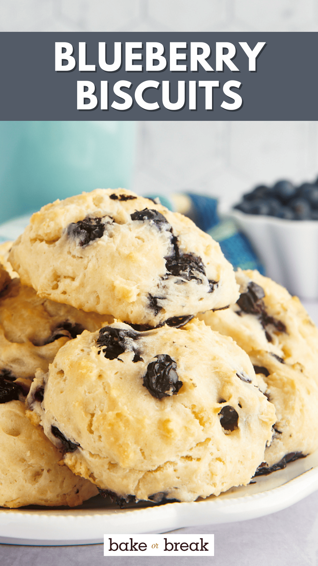 Easy Blueberry Biscuits | Bake or Break