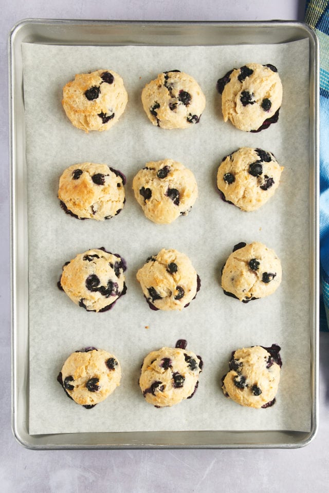 Overhead view of blueberry biscuits on baking sheet