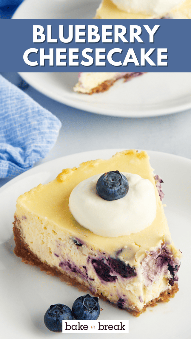 Blueberry Cheesecake bake or break
